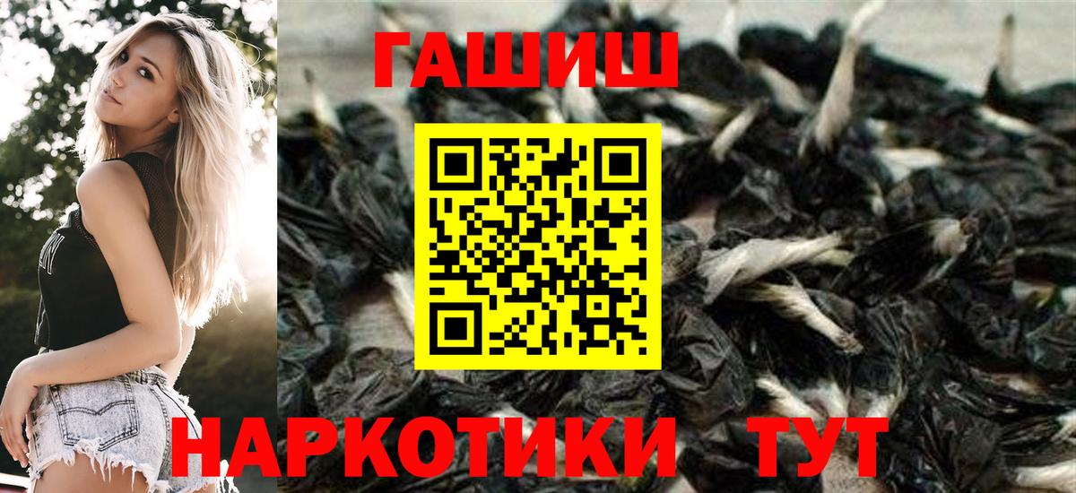 ГАШ Premium  Вход с VPN  ГАШИШ  Югорск 
