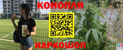 Альфа ПВП Рыбинск