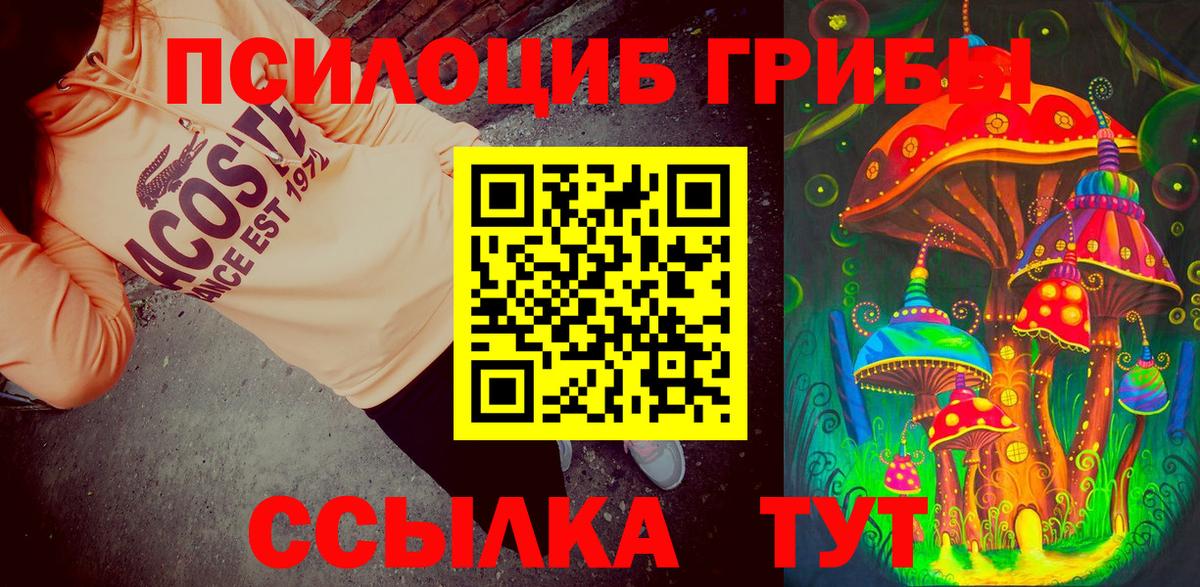 Югорск  наркота  Вход с VPN  Галлюциногенные грибы MAGIC MUSHROOMS 